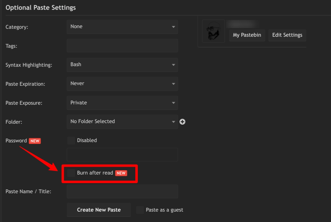 Pastebin Feature